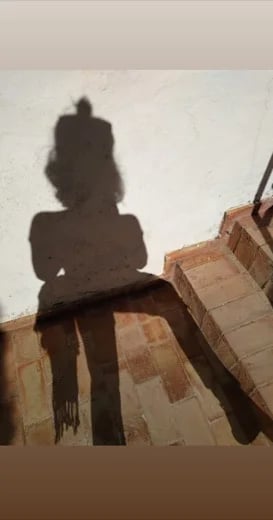 Artistic Shot
