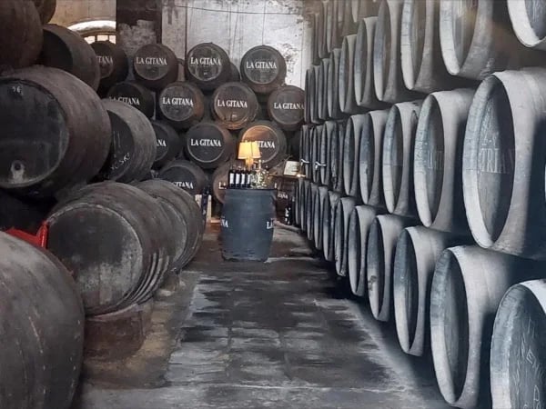 Sherry Winery Excursion in Jerez