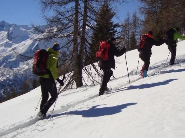 Snowshoeing in the Alps - Full Day Trip From Aosta