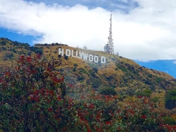Cover media image