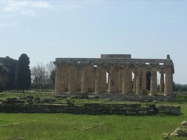 Paestum Greek Temples and Buffalo Mozzarella taste