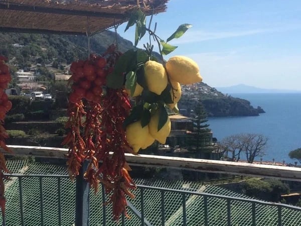 Amalfi Coast and Pompeii tour arriving by train from Rome