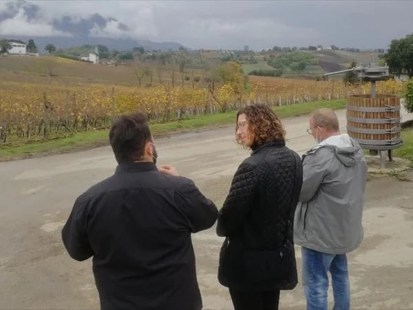 Irpinia Wine Tour and Tasting