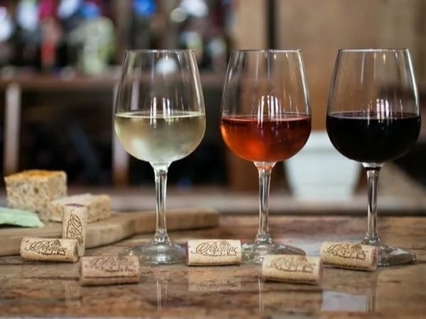 Day trip to Slanic Prahova Salt Mine and wine tasting with a private guide
