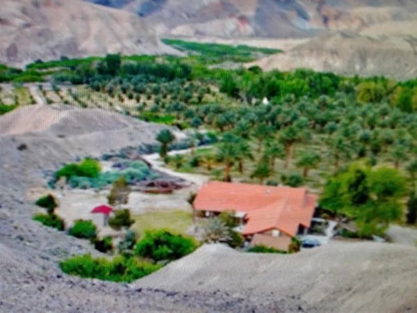 China Ranch Date Farm-Amargosa Valley-Vineyard in Pahrump