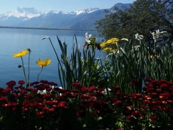 Private Montreux City Tour
