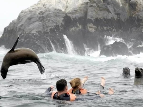 Callao: The Sea Lion Adventure and History (for 2 travelers)