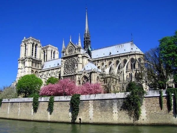 Cover media image