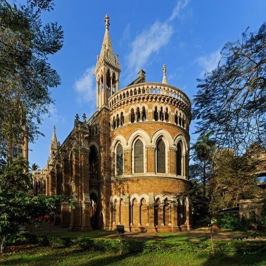 Shailendra P.'s gallery