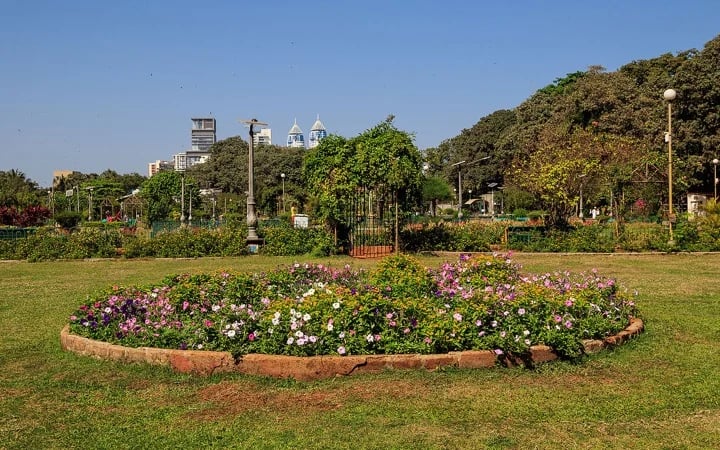 Shailendra P.'s gallery