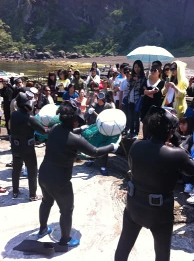 Women divers' demonstration show : UNESCO World Heritage