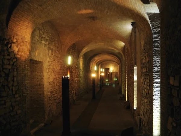 Cover media image