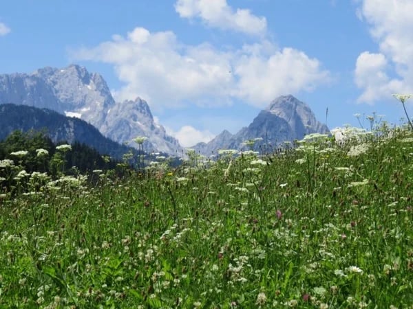 Cover media image