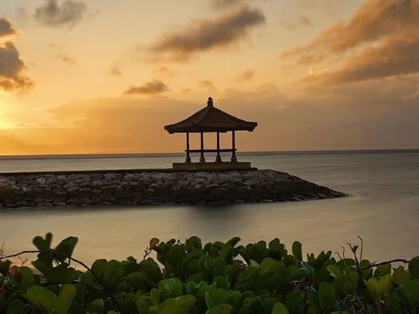 Cover media image