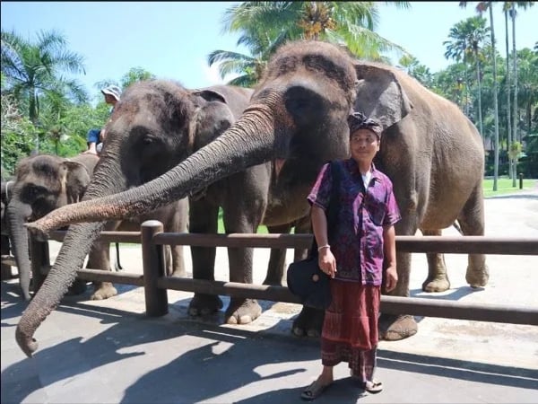 Amazing Waterfall and Ubud Full Day Tour