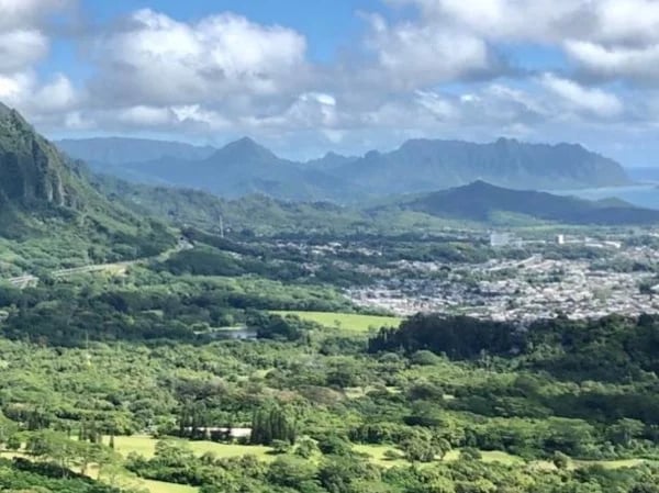 Ancient Hawaiian and Nature Sites Half-Day Tour from Honolulu