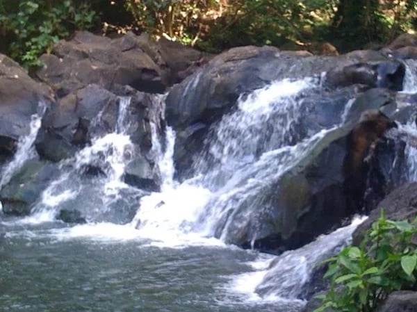 Half-Day Hiking and Sightseeing Tour from Honolulu