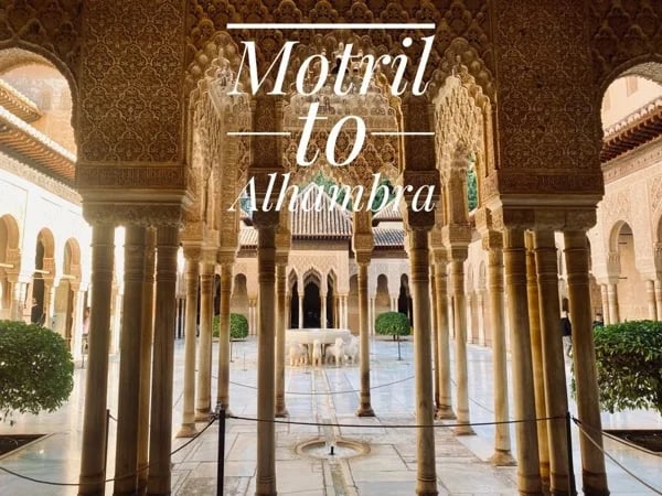Cover media image