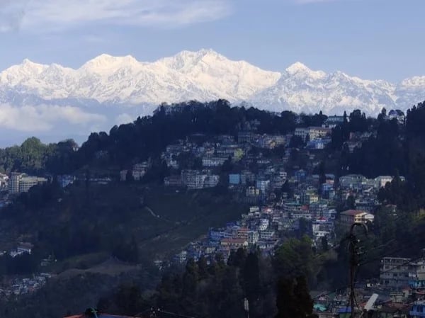 Discover the magical tea plantation of Darjeeling