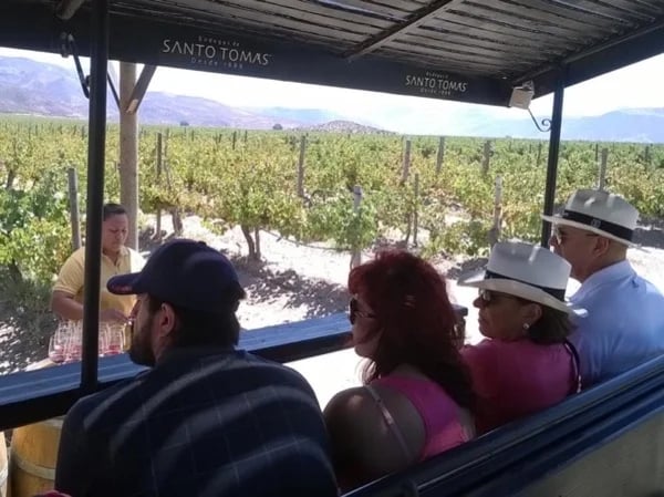 Ensenada Wine Private Tour