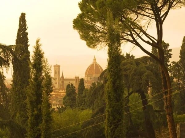 Classic Florence Private Tour - Highlights