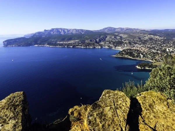 Cover media image