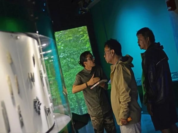 Cover media image