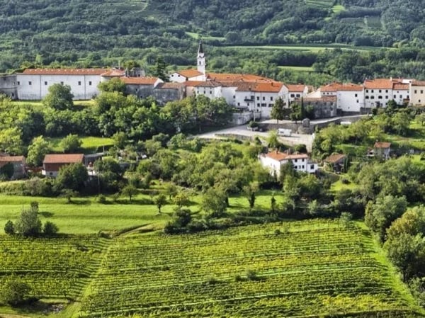 Private Shore Excursion half day tour to Vipavski Kriz in Vipava Valley from Koper