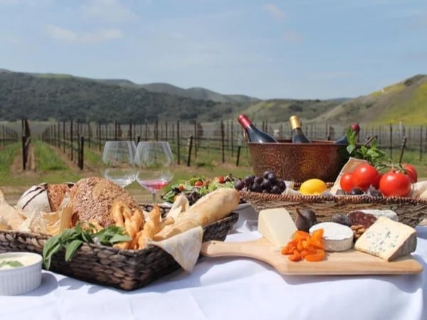 Solvang & Wine Tasting Tour of Santa Barbara Wine Country