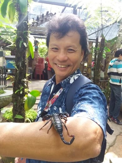 THE PENANG STINGLESS SCORPION