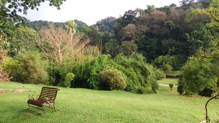 PENANG BOTANIC GARDEN