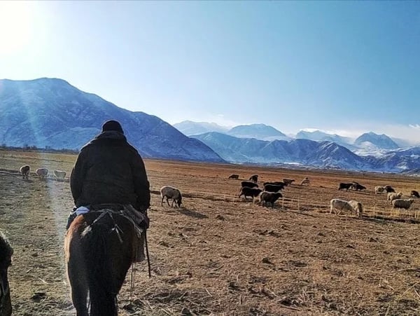 Day Tour to Chong Kemin NP (Horseback riding)