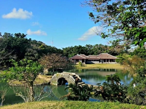 Cover media image