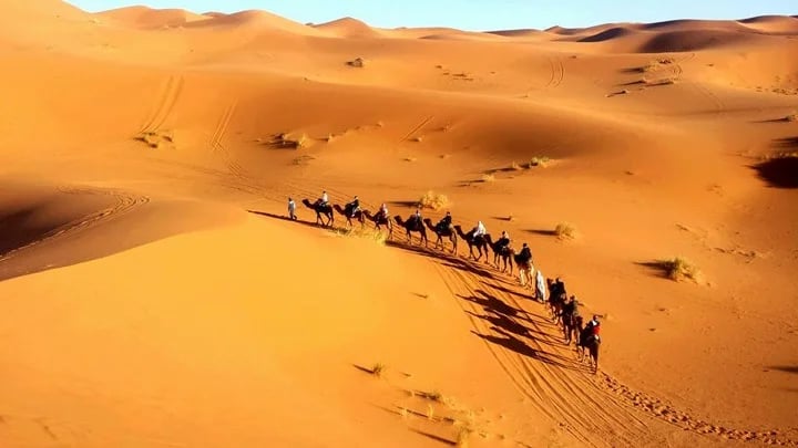 Ahmed H.'s gallery