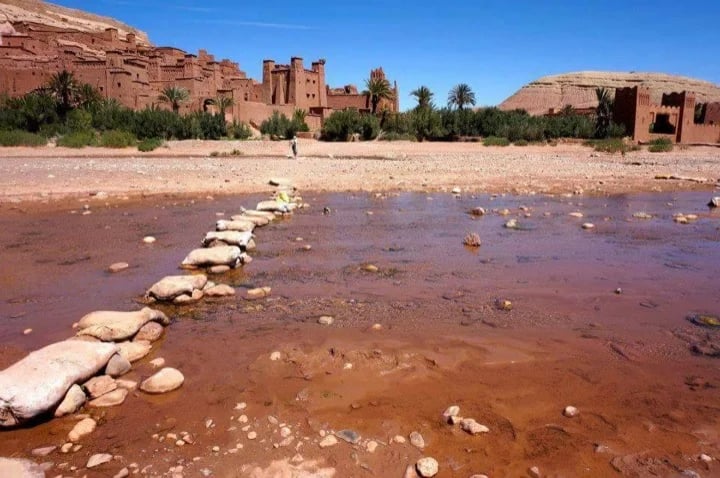 Ahmed H.'s gallery