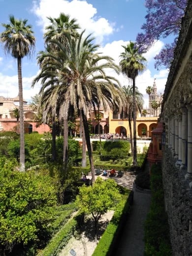Jardines Reales Alcazares de Sevilla