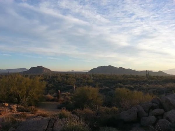 Phoenix Outdoor Tour: Sonoran Desert Half-Day Adventure