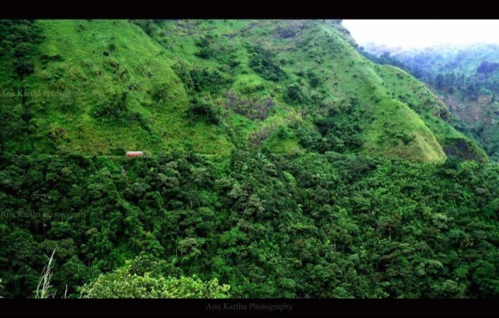 Hill stations and tea plantation Tour !!.
