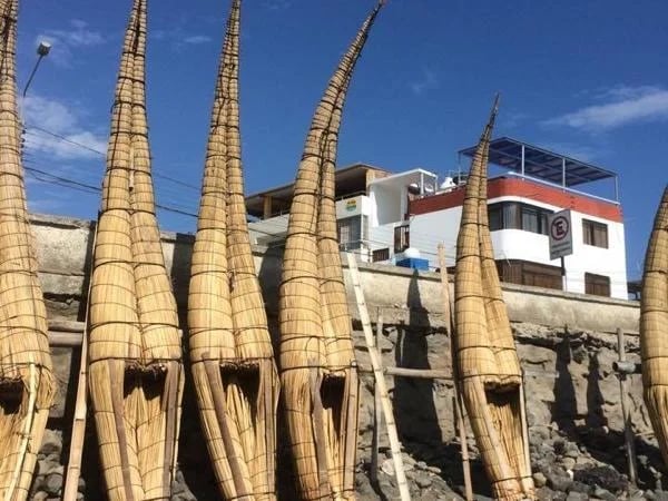 Trujillo & Moche Valley Full-day Tour" Exploring the Moche Valley"