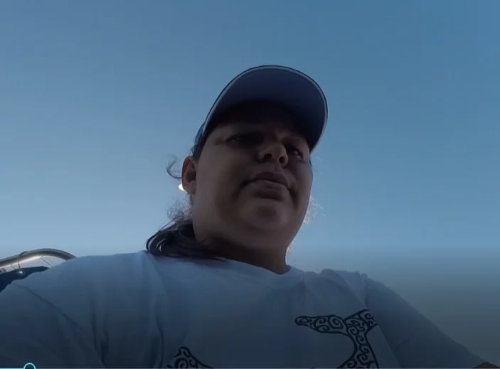 looking for whales