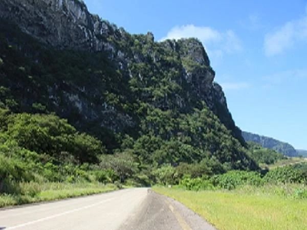 Cover media image