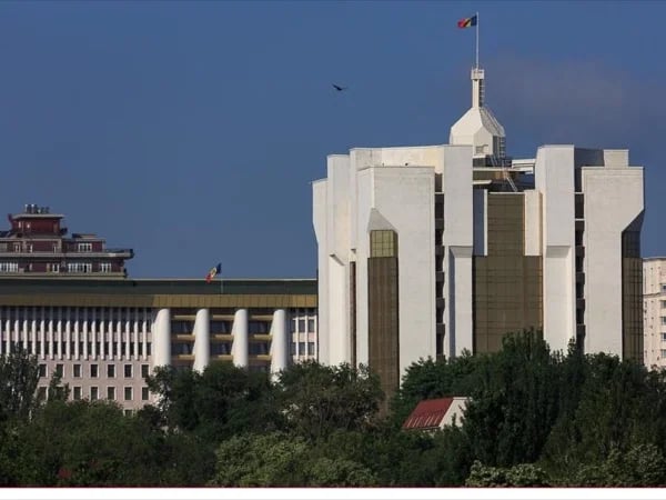 Cover media image
