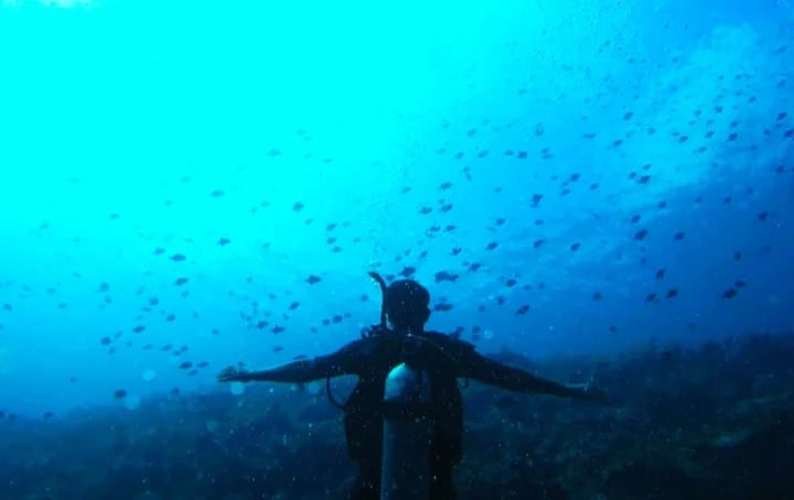 Sebastián V.'s gallery
