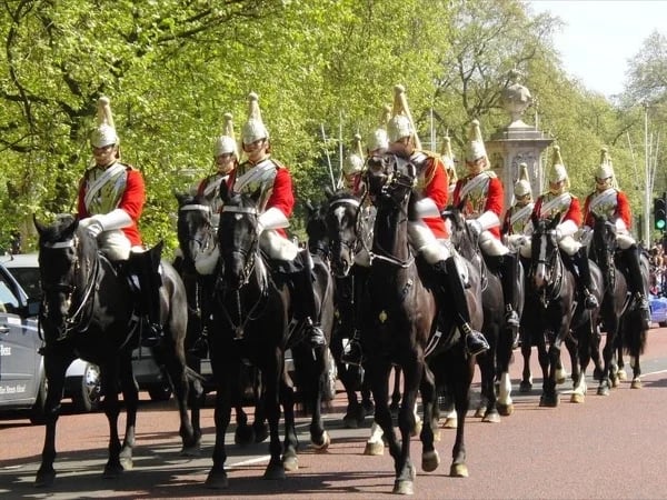 The Crown, the Guards and Royal London.