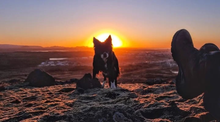 Enjoying the sunset with Hneta