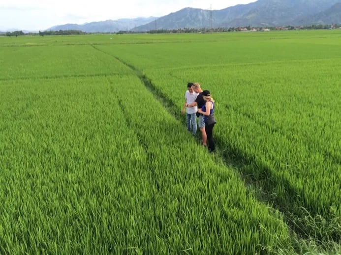 Rice field with a couple from europe