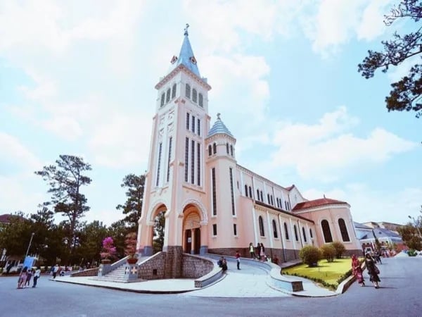 Cover media image