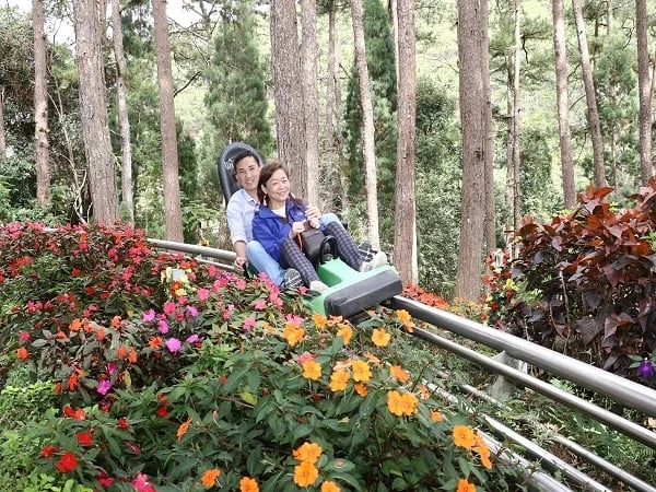Cover media image