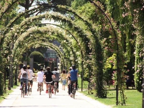 Great Green Bike Tour: experience Madrid as a local!
