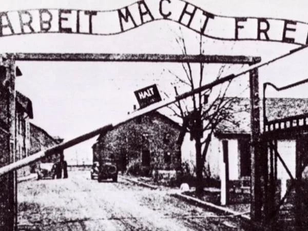 Auschwitz - Birkenau Private Tour and Wieliczka Salt Mine full day tour from Krakow